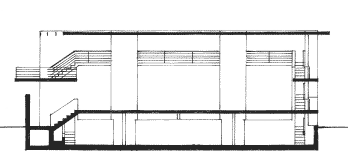 longitudinal section