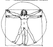 The Vitruvian Man