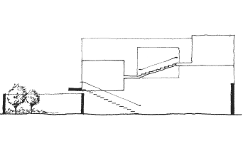 longitudinal section